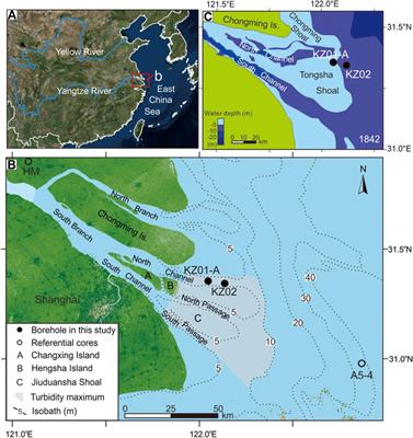 Luminescence characteristics of muddy sediments in the turbidity maximum zone of the Yangtze River mouth and implications for the depositional mechanisms